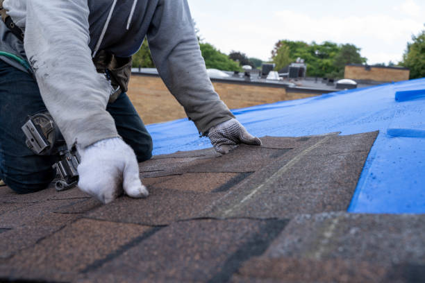 Best Local Roofing Companies  in Hooverson Heights, WV